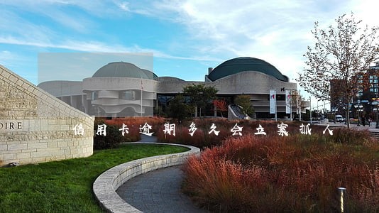 信用卡逾期多久会立案抓人 信用卡逾期多久会立案抓人