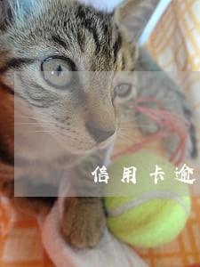 信用卡逾期多久会给你打电话 信用卡逾期多久会给你打电话