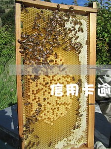 信用卡逾期多久会给家里寄信 信用卡逾期多久会给家里寄信