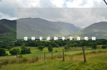 信用卡逾期多久会老赖 信用卡逾期多久会老赖