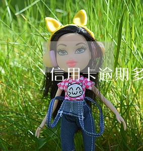 信用卡逾期多久会被上征信记录 信用卡逾期多久会被上征信记录