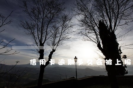 信用卡逾期多久会被上报征信 信用卡逾期多久会被上报征信
