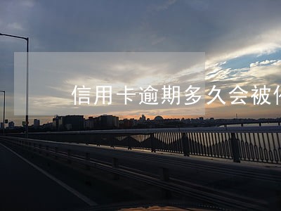 信用卡逾期多久会被催收一次 信用卡逾期多久会被催收一次