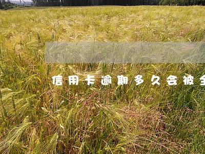 信用卡逾期多久会被全额催还 信用卡逾期多久会被全额催还