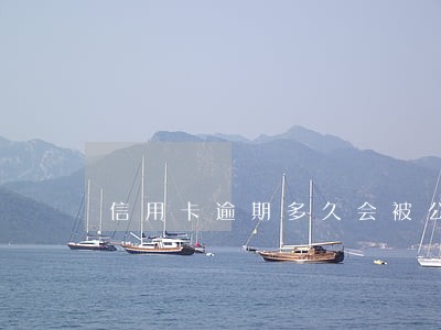 信用卡逾期多久会被公布 信用卡逾期多久会被公布