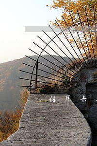 信用卡逾期多久会被公示 信用卡逾期多久会被公示