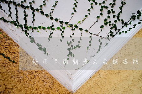 信用卡逾期多久会被冻结使用
