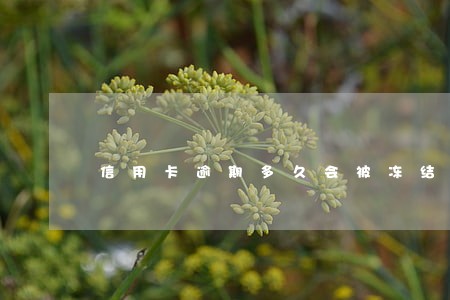 信用卡逾期多久会被冻结卡片 信用卡逾期多久会被冻结卡片