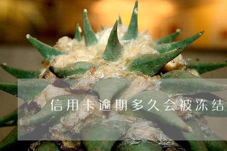 信用卡逾期多久会被冻结吗 信用卡逾期多久会被冻结吗
