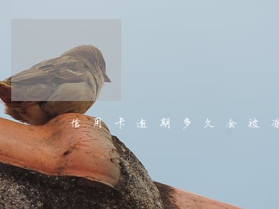 信用卡逾期多久会被冻结资产6