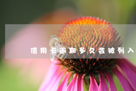 信用卡逾期多久会被列入失信 信用卡逾期多久会被列入失信