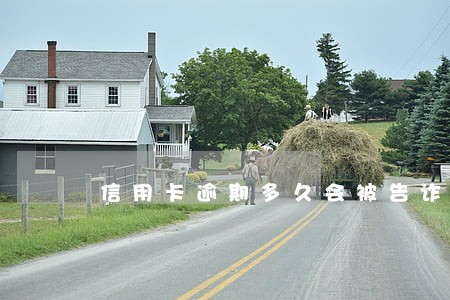 信用卡逾期多久会被告诈骗 信用卡逾期多久会被告诈骗