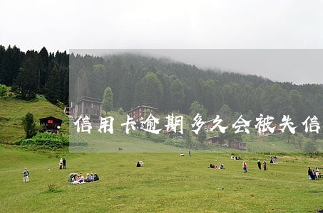 信用卡逾期多久会被失信执行 信用卡逾期多久会被失信执行