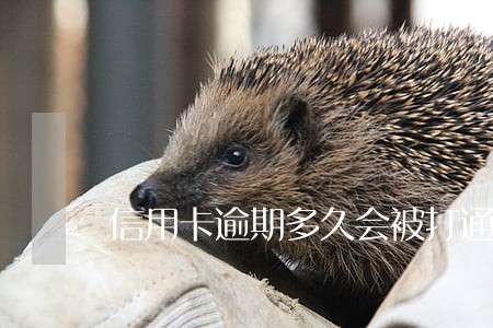 信用卡逾期多久会被打通讯录 信用卡逾期多久会被打通讯录