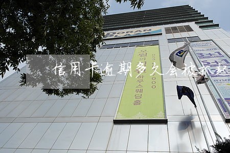 信用卡逾期多久会被抓起来