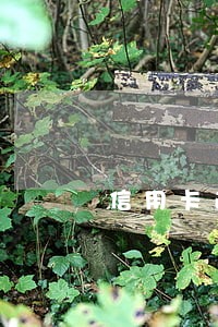 信用卡逾期多久会被拘役 信用卡逾期多久会被拘役