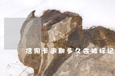 信用卡逾期多久会被标记失信人员 信用卡逾期多久会被标记失信人员