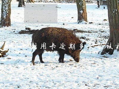 信用卡逾期多久会被核销卡片 信用卡逾期多久会被核销卡片