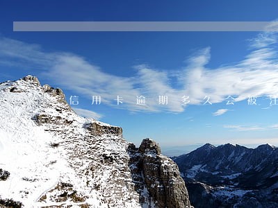 信用卡逾期多久会被注销卡片 信用卡逾期多久会被注销卡片