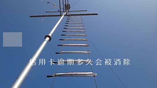 信用卡逾期多久会被消除 信用卡逾期多久会被消除