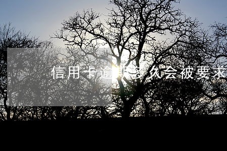 信用卡逾期多久会被要求全还