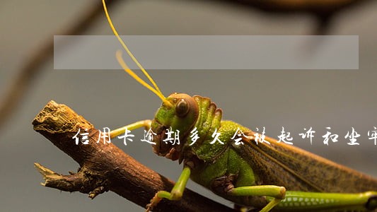 信用卡逾期多久会被起诉和坐牢