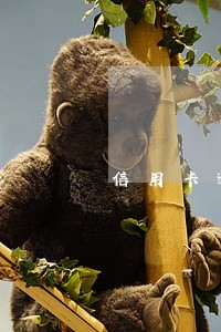 信用卡逾期多久会被起诉报案 信用卡逾期多久会被起诉报案