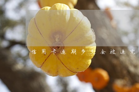 信用卡逾期多久会被追究民事责任 信用卡逾期多久会被追究民事责任