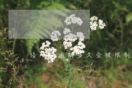 信用卡逾期多久会被限制做飞机