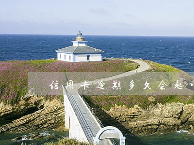 信用卡逾期多久会起诉刑事 信用卡逾期多久会起诉刑事
