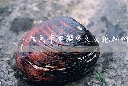 信用卡逾期多久会跑判刑