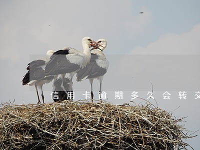 信用卡逾期多久会转交给第三方 信用卡逾期多久会转交给第三方