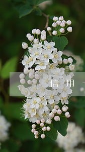 信用卡逾期多久会转法催部
