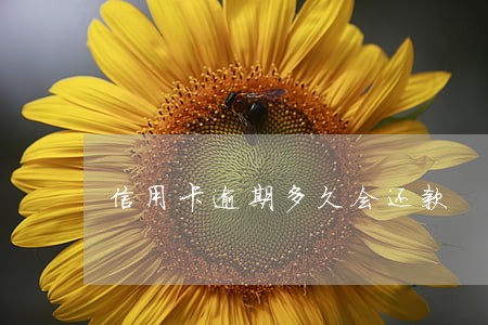 信用卡逾期多久会还款 信用卡逾期多久会还款