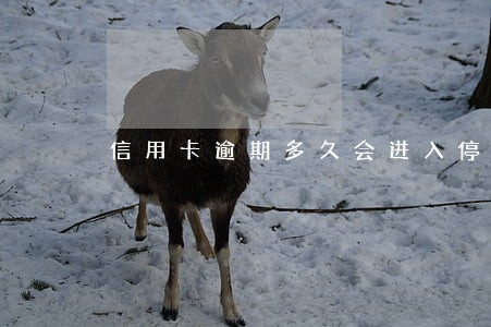 信用卡逾期多久会进入停卡 信用卡逾期多久会进入停卡