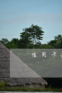 信用卡逾期多久会进征信 信用卡逾期多久会进征信