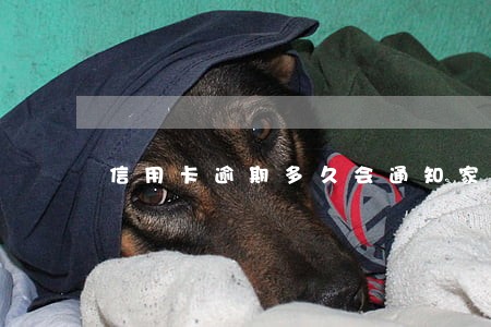 信用卡逾期多久会通知家属 信用卡逾期多久会通知家属