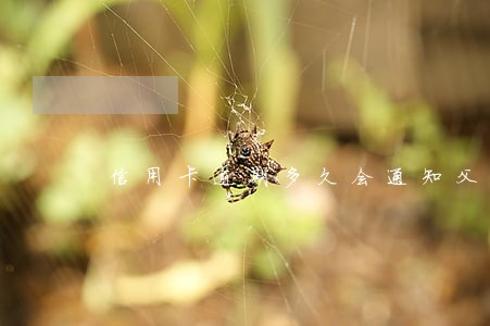 信用卡逾期多久会通知父母 信用卡逾期多久会通知父母