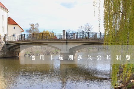 信用卡逾期多久会长利息