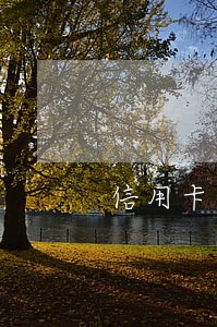 信用卡逾期多久会降低额度吗