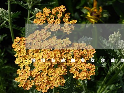 信用卡逾期多久会限制 信用卡逾期多久会限制