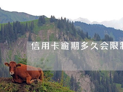 信用卡逾期多久会限制出镜 信用卡逾期多久会限制出镜