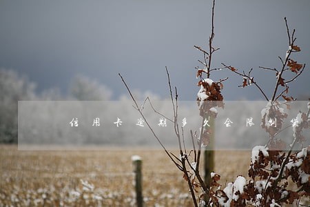 信用卡逾期多久会限制贷款 信用卡逾期多久会限制贷款