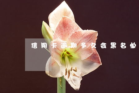 信用卡逾期多久会黑名单 信用卡逾期多久会黑名单