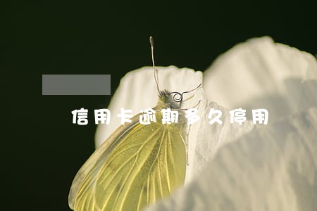 信用卡逾期多久停用 信用卡逾期多久停用