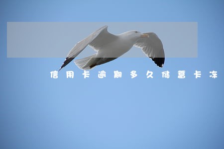 信用卡逾期多久储蓄卡冻结 信用卡逾期多久储蓄卡冻结