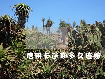 信用卡逾期多久催账 信用卡逾期多久催账