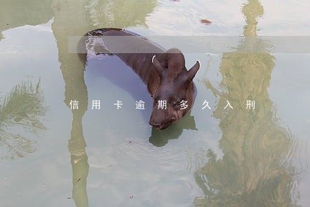 信用卡逾期多久入刑
