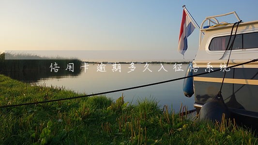 信用卡逾期多久入征信系统 信用卡逾期多久入征信系统