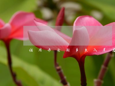 信用卡逾期多久入黑名单 信用卡逾期多久入黑名单